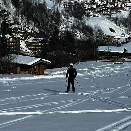 Apartment Baerenbach - Almhuette *