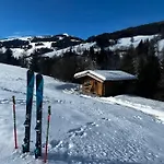 Baerenbach - Almhuette *