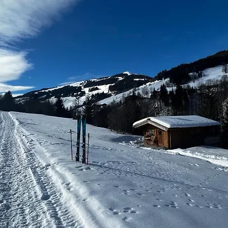 Baerenbach - Almhuette Апартаменты Зальбах-Хинтерглемм