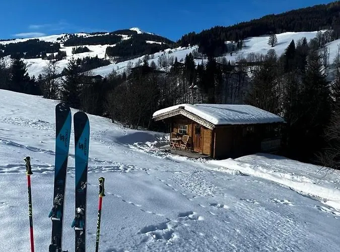 Baerenbach - Almhuette *